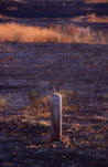 palestine abstract and fine art photography